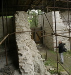 grafika